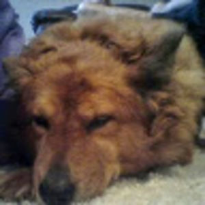 Meet your Posher, Manuel